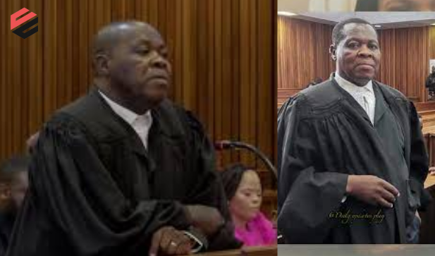 Advocate Mngomezulu Biography